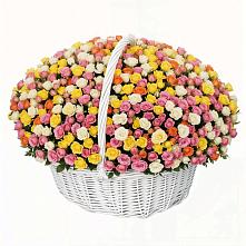 Премиум букет из: Розы #REPLACE_PRED# Павловске Алтайского края