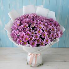 Букет цветов из:  Хризантемы в Павловске Алтайского края