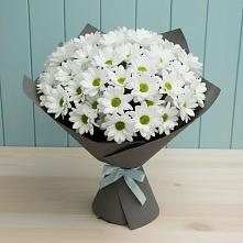 Букет цветов из:  Хризантемы #REPLACE_PRED# Павловске Алтайского края