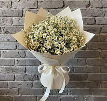 Букет цветов из:  Ромашки в Павловске Алтайского края