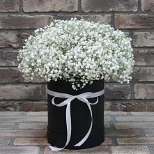 Цветочная композиция из Гипсофила в шляпной коробке в Павловске Алтайского края
