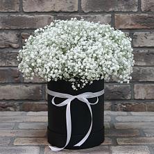 Цветочная композиция из Гипсофила в шляпной коробке в Павловске Алтайского края